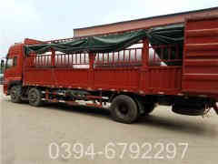 15吨三回程燃气锅炉