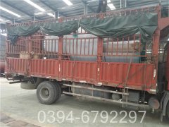 十吨低氮燃气锅炉