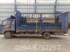 高效热水锅炉价格