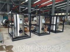 二十吨低氮锅炉