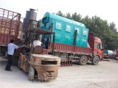 电蒸汽发生器厂家