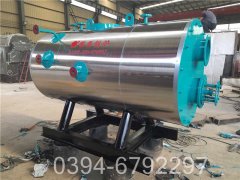 立式燃煤蒸气锅炉