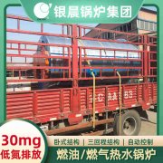 WNS12-1.25-QY冷凝蒸汽锅炉开云·体育