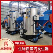 WNS6-1.25-QY天然气蒸汽锅炉开云·体育