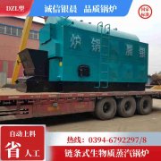 WNS0.3-0.7-QY冷凝蒸汽锅炉开云·体育