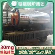 12吨低氮冷凝蒸汽锅炉开云·体育