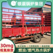 20吨天然气蒸汽锅炉银晨锅炉