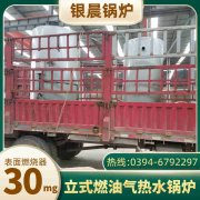 3吨天然气蒸汽锅炉开云·体育