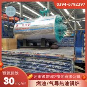 0.2吨低氮蒸汽锅炉开云·体育