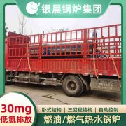 2吨燃气燃气锅炉