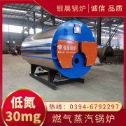 热水锅炉生物质