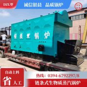 锅炉的燃气锅炉