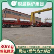 低压高温蒸汽锅炉