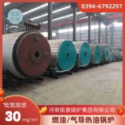 10t燃气蒸汽锅炉