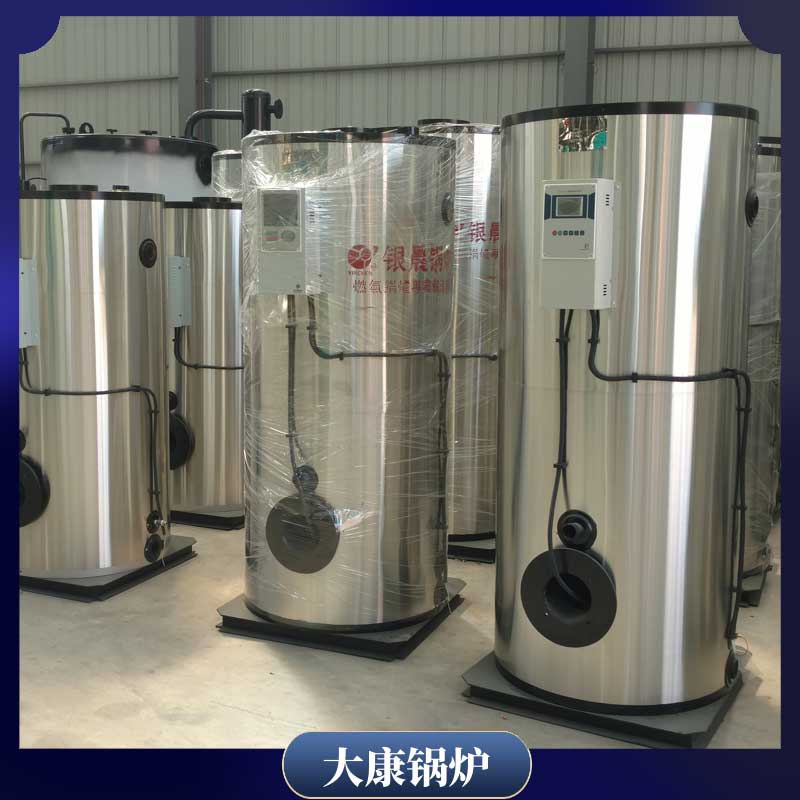 12吨生物锅炉