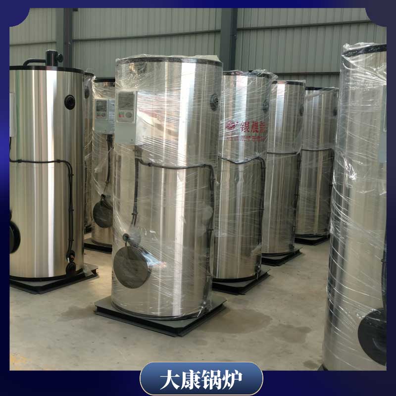 烧生物质的锅炉厂