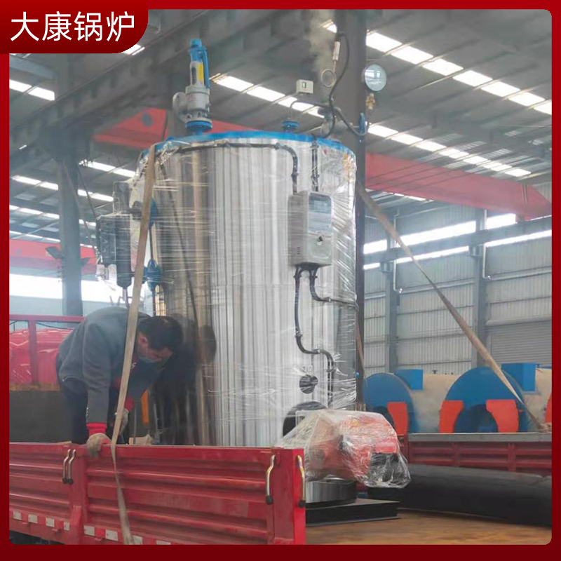 生物质生物质锅炉